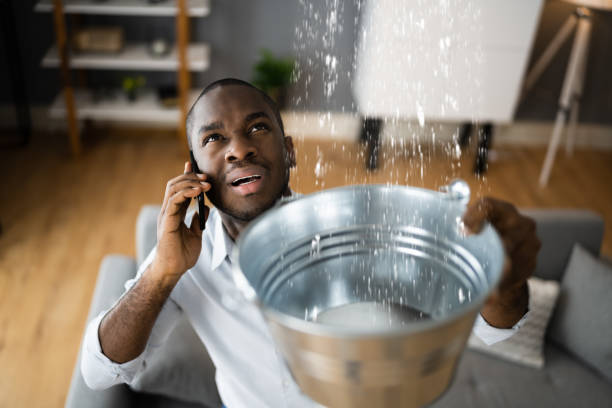 Best Water damage restoration services  in Carroll, IA