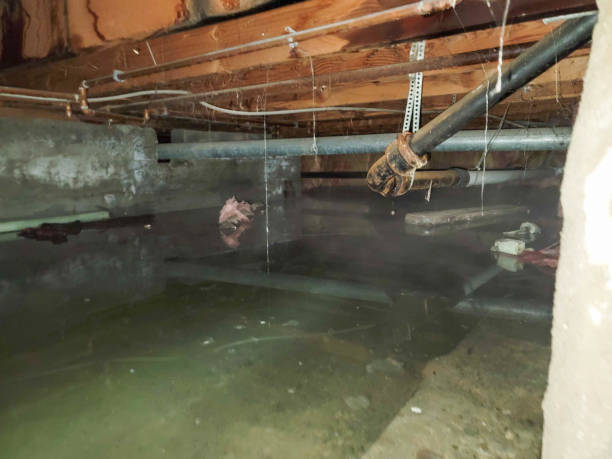 Best 24-hour water damage restoration  in Carroll, IA