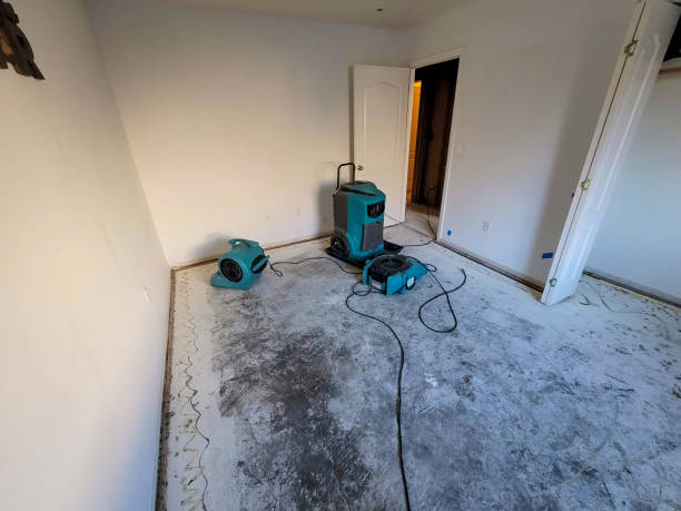 Best Emergency water damage restoration  in Carroll, IA