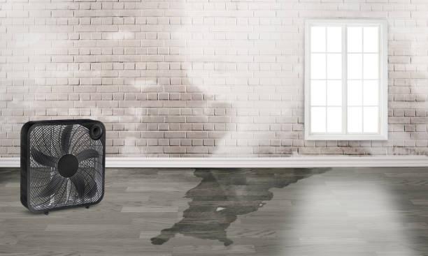 Best Fire Damage Restoration  in Carroll, IA