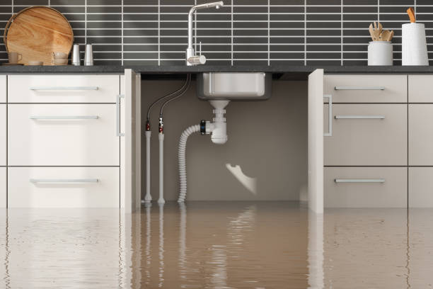 Best Flood damage cleanup  in Carroll, IA