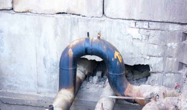 Best Sewage cleanup and water damage restoration  in Carroll, IA