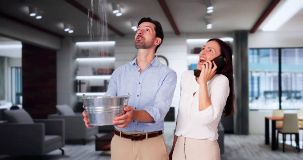 Best Water damage restoration experts  in Carroll, IA